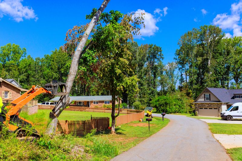 Local Concrete Removal pros at work